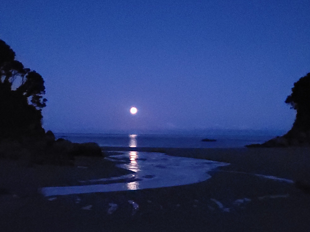 Golden Bay Kayaks-塔卡卡必去景点