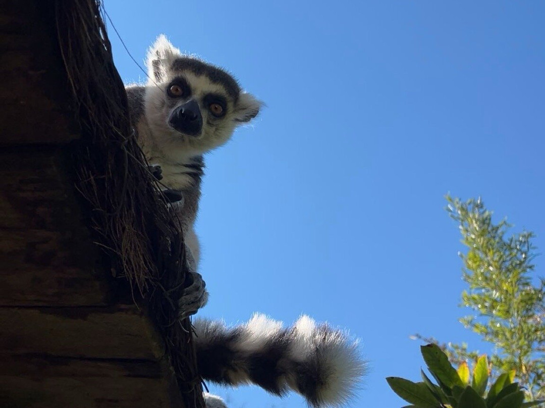 Zoo de La Fleche-La Fleche必去景点
