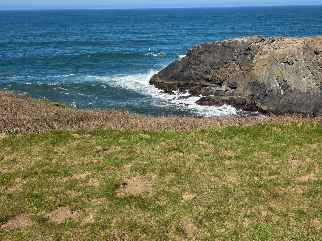 Yaquina Head Outstanding Natural Area-纽波特必去景点
