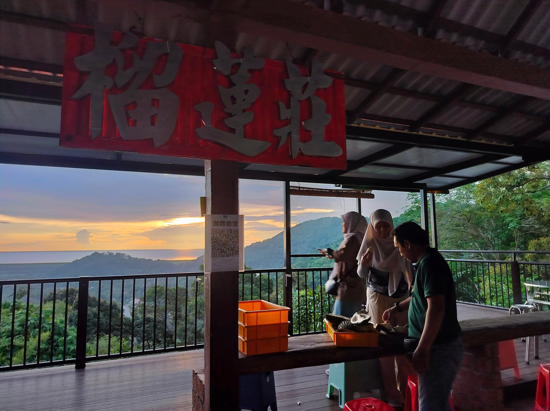 Durian Tree House-浮罗山背必去景点