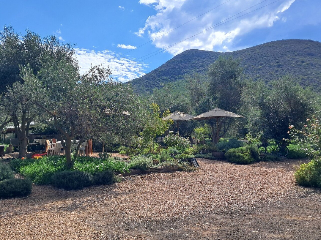 Owl's Rest Olive and Lavender Farm-Robertson必去景点