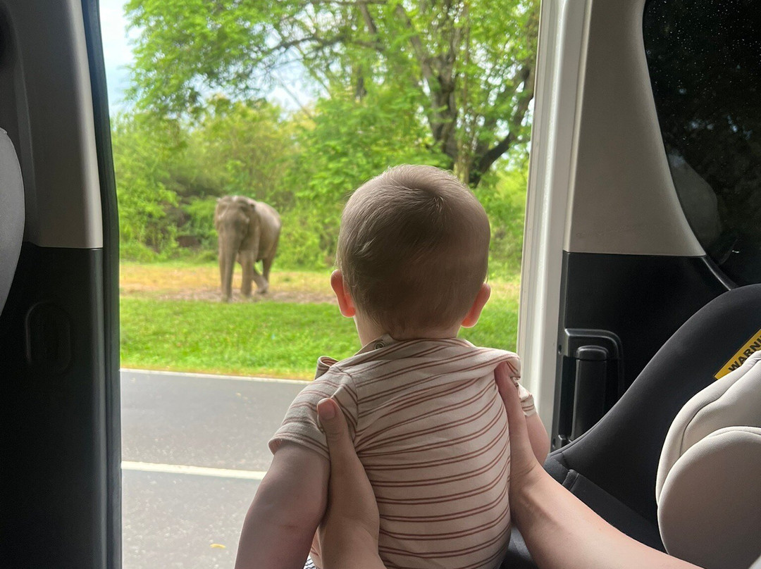 Sri Lanka Taxi Andrew-Kotugoda必去景点