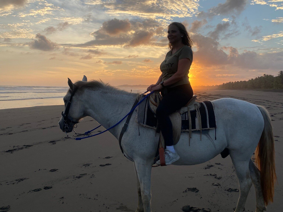 Sunset Del Mar Resort主图
