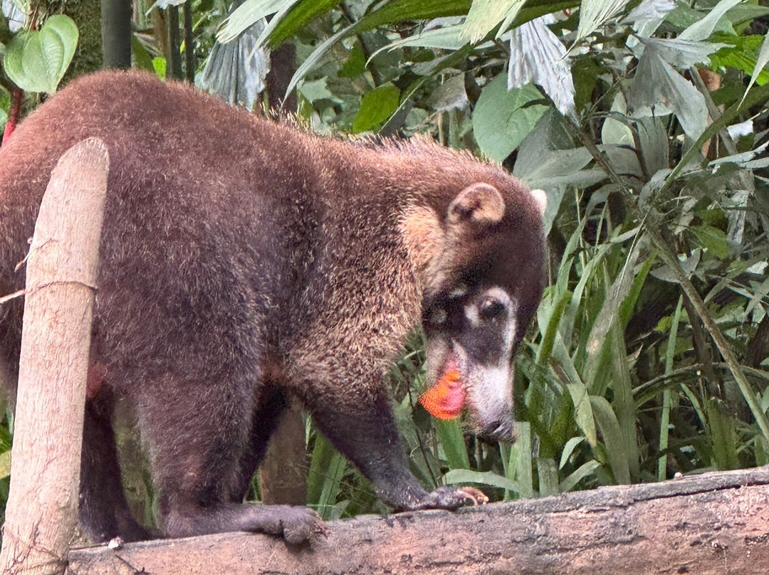 克勒斯特海德尔维酒店主图