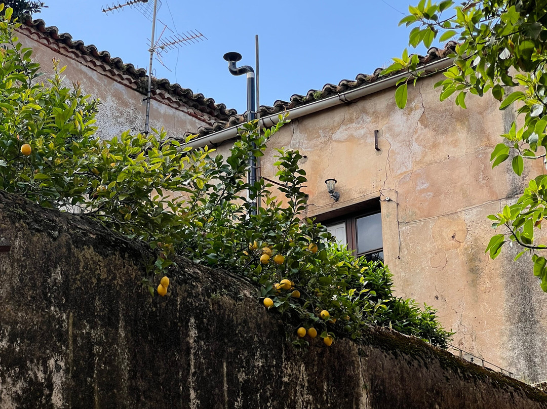 Spain Free Tours - Free Tour Cáceres-卡塞雷斯必去景点