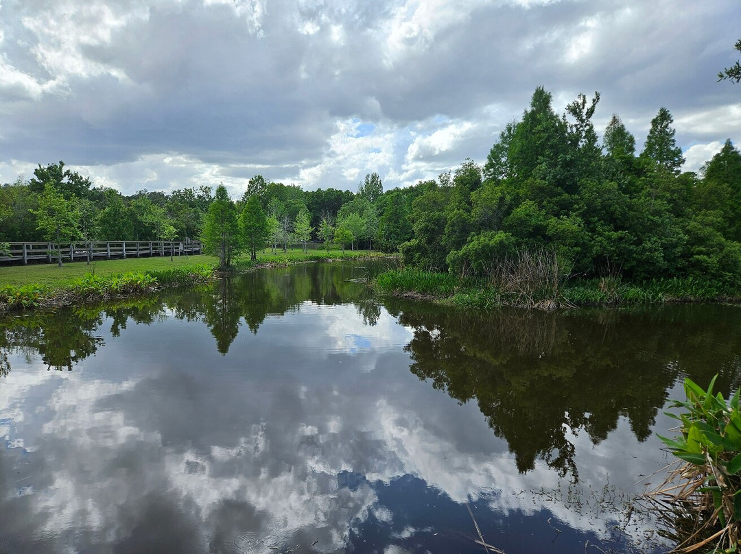 South Lake Howard Nature Park-温特黑文必去景点