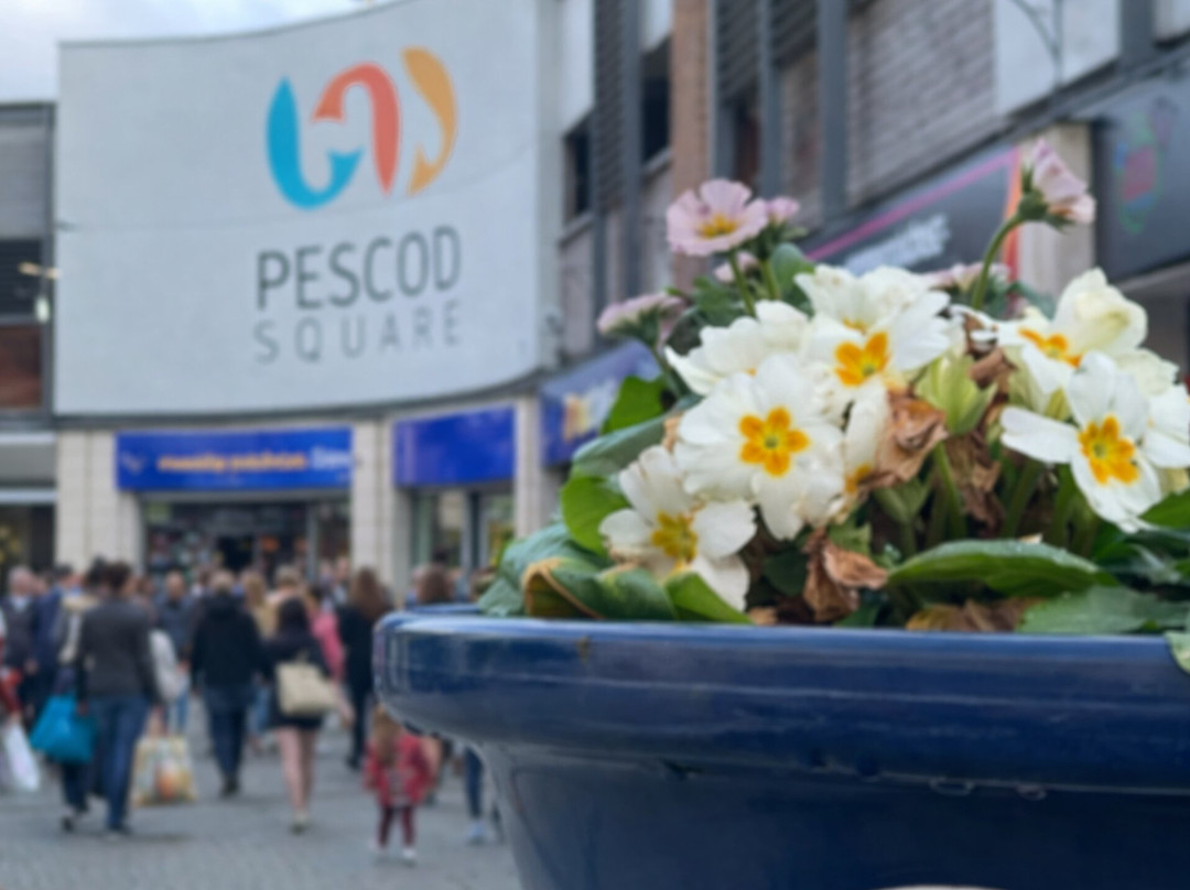 Pescod Square Shopping Centre-波士顿必去景点