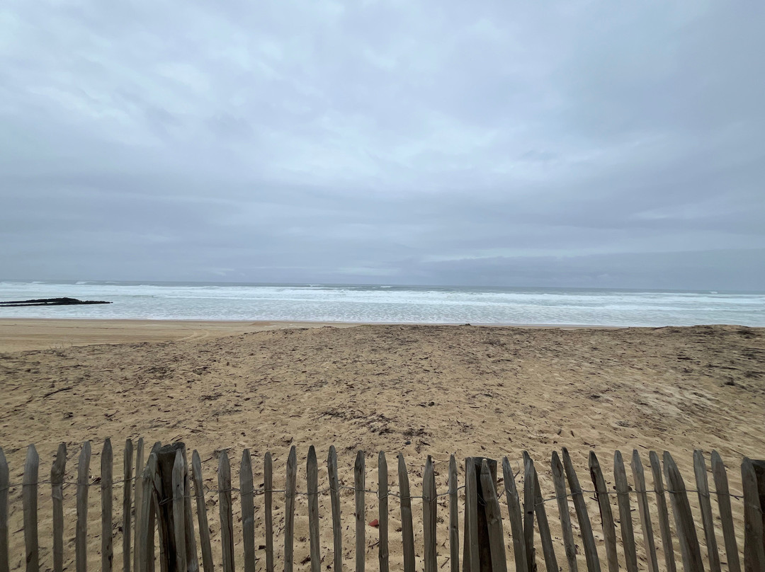 Contis Surf School-Contis-les-Bains必去景点