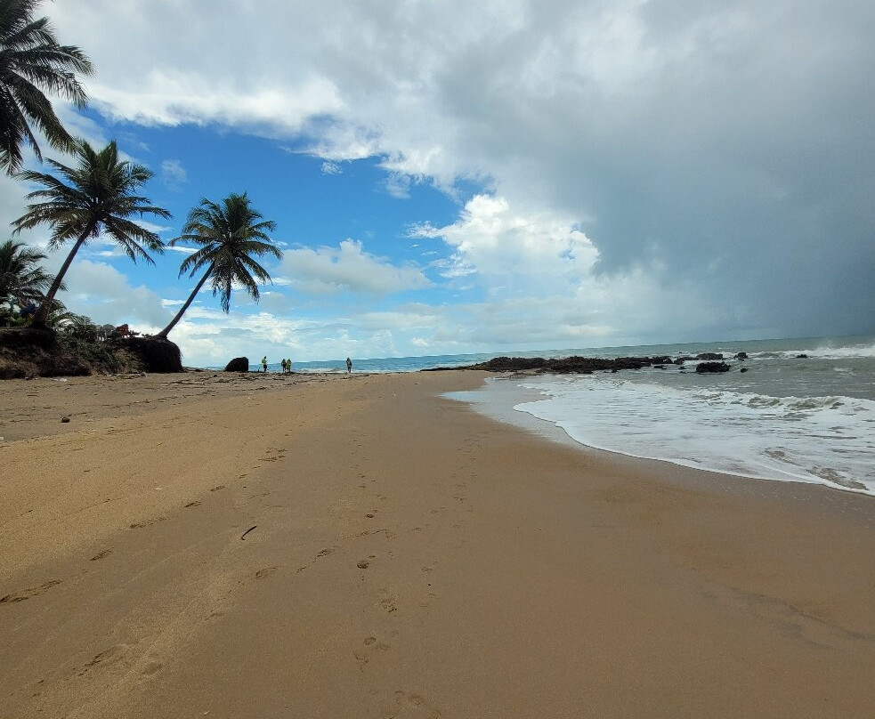 Coqueirinho Beach-Conde必去景点