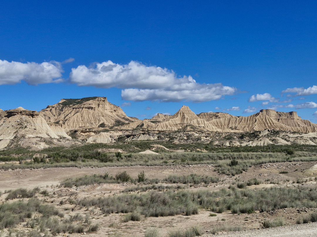 Bardenas Bike-Arguedas必去景点