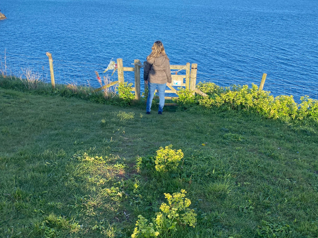 Berry Head National Nature Reserve-布里克瑟姆必去景点