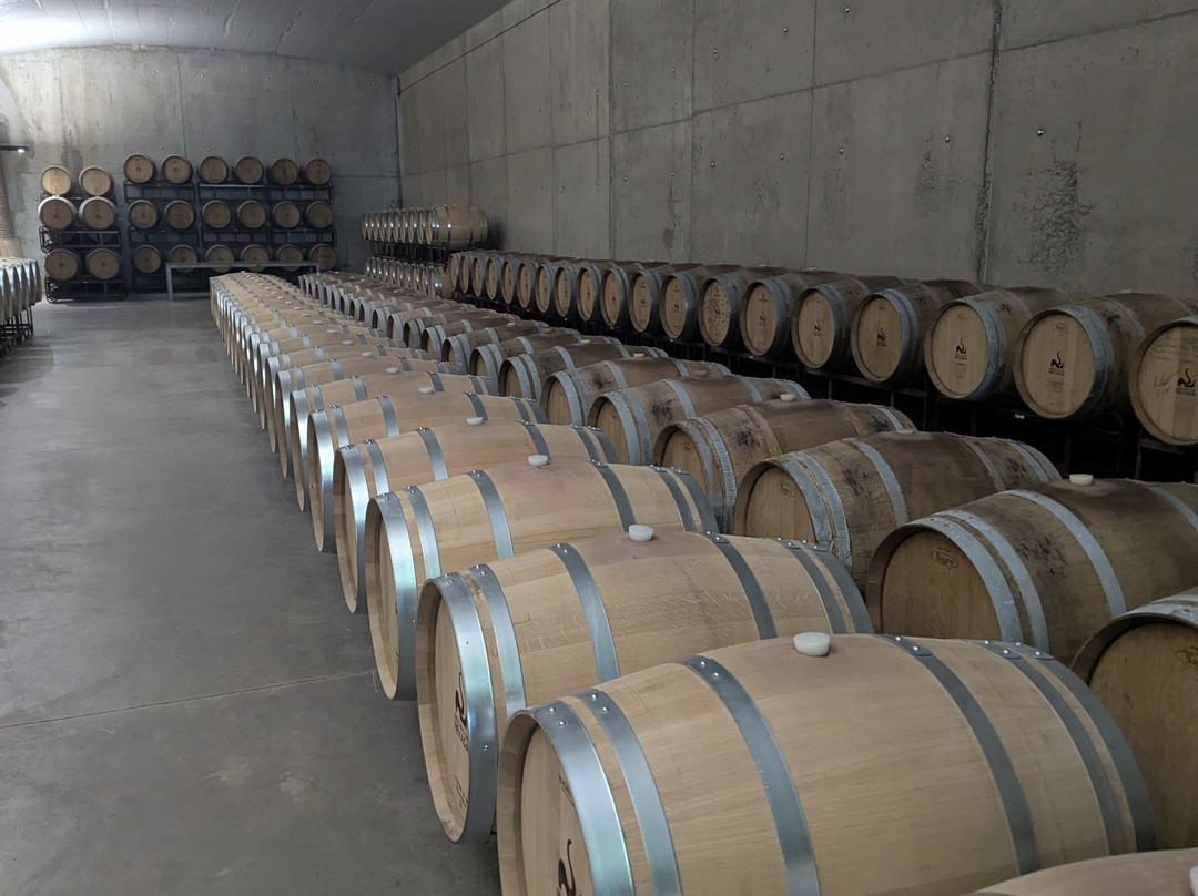 内华达酒店及酒庄主图