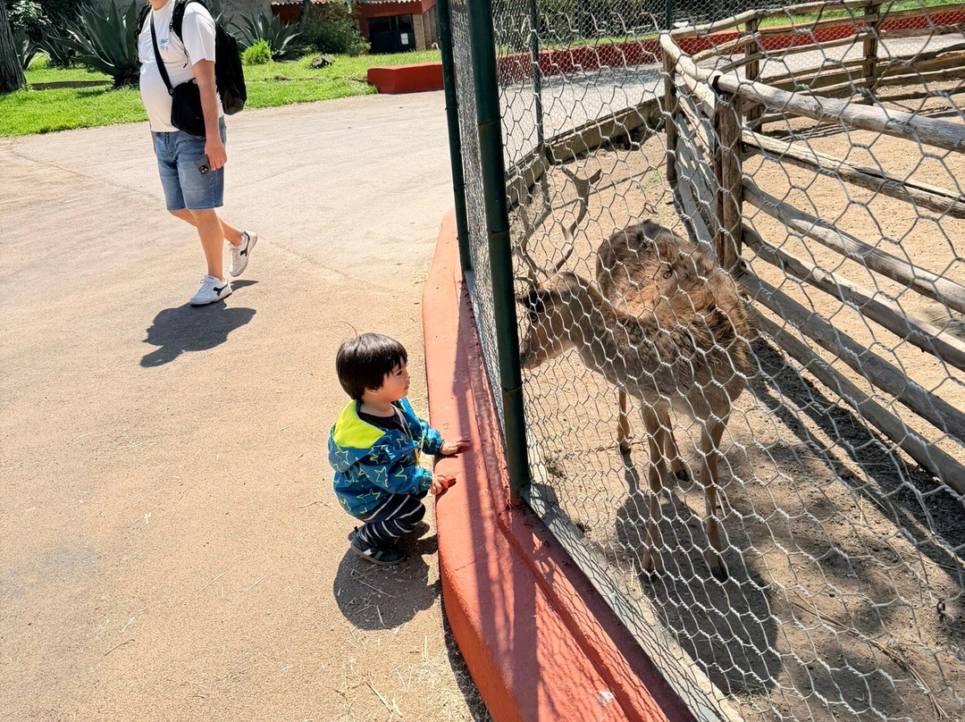 Lo Zoo di Napoli-那不勒斯必去景点