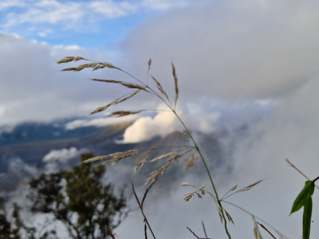 Bromo Vacation-泗水必去景点