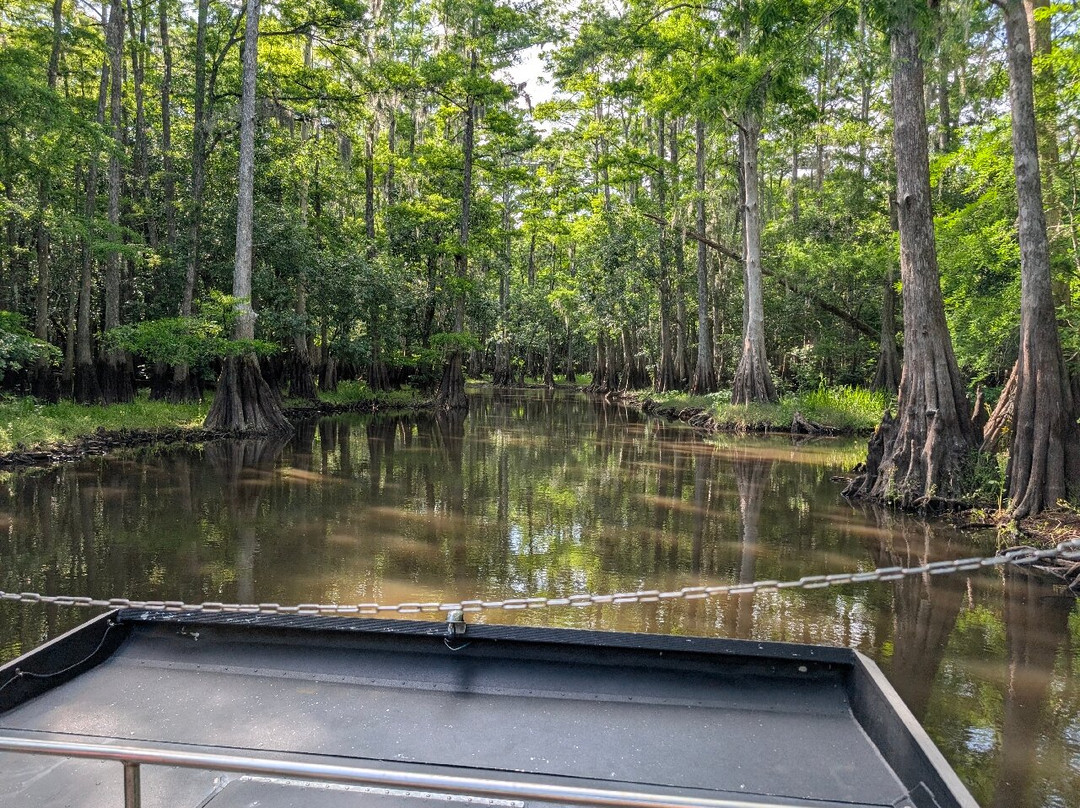 AirBoat Rides at Midway-Christmas必去景点