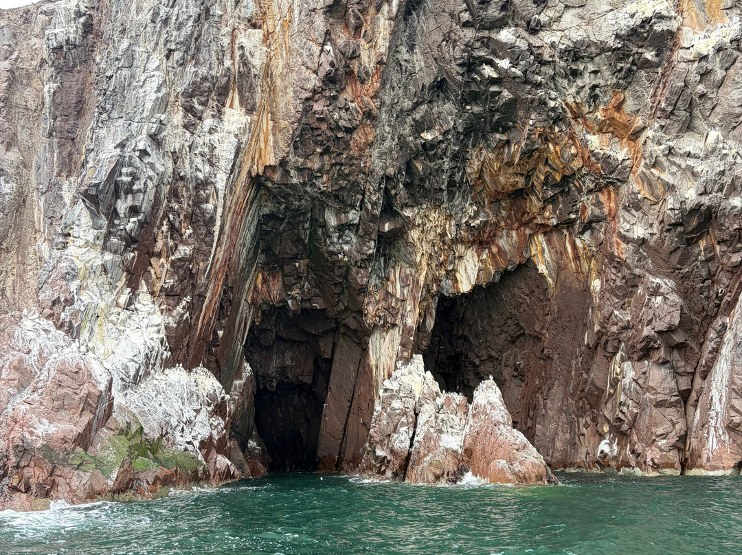 Scottish Seabird Centre-北柏威克必去景点