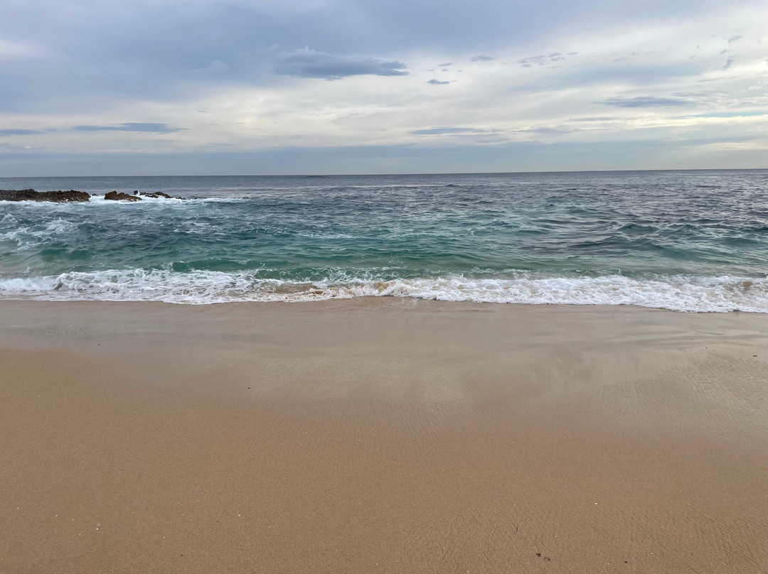 Koonya Beach-Blairgowrie必去景点
