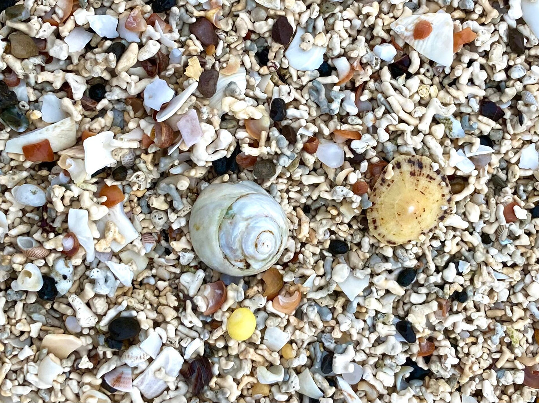 Claigan Coral Beach-斯凯岛必去景点