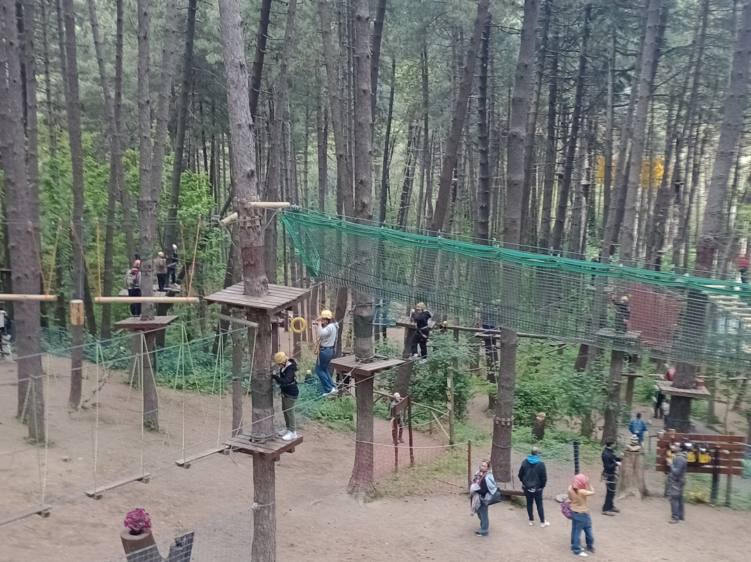 Parco Avventura Montevergine-Ospedaletto d'Alpinolo必去景点