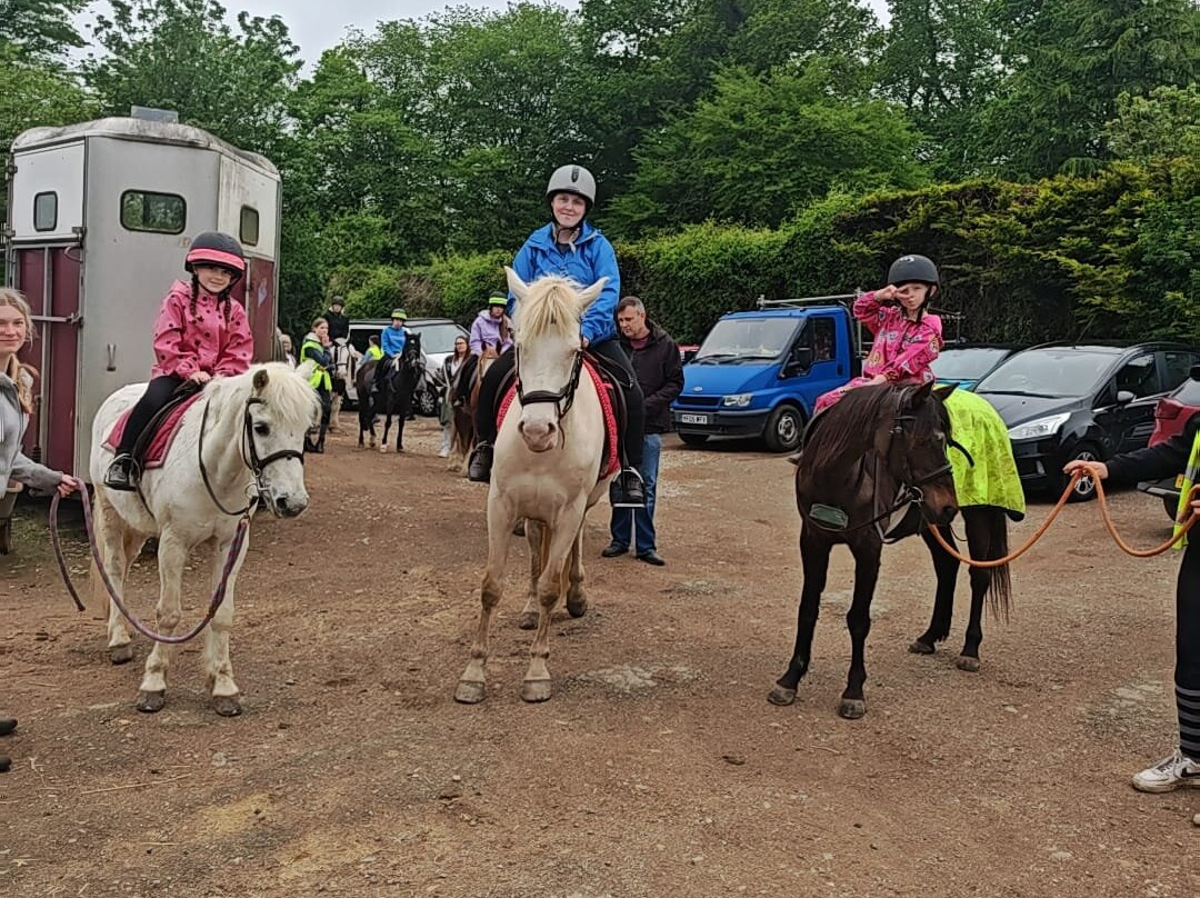 Finlake Riding Centre-Chudleigh必去景点