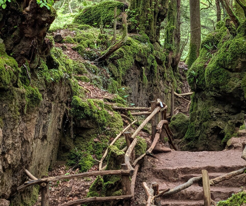 Puzzlewood-Coleford必去景点
