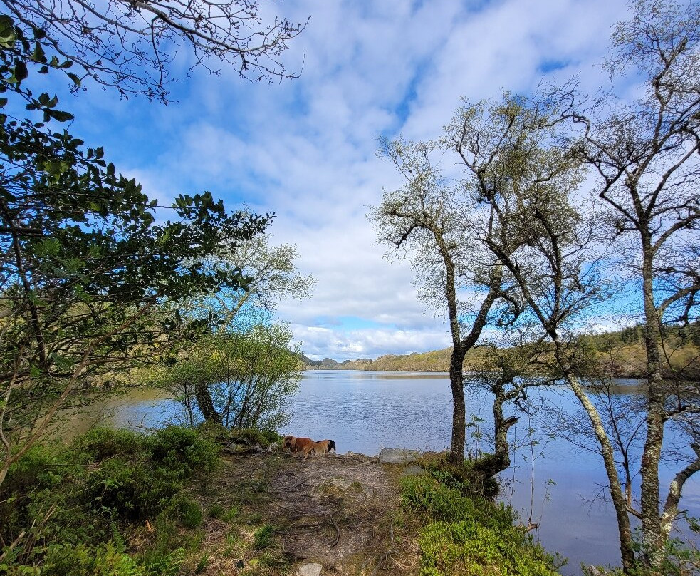 Argyll Beaver Centre-Lochgilphead必去景点