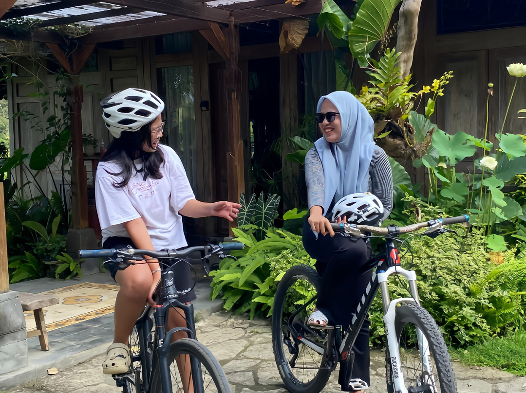 Java Bali Trips-Bantul必去景点