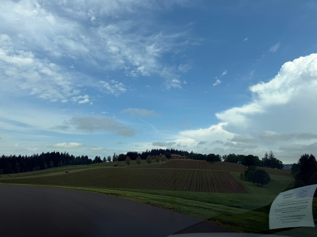 Archery Summit Winery-Dayton必去景点
