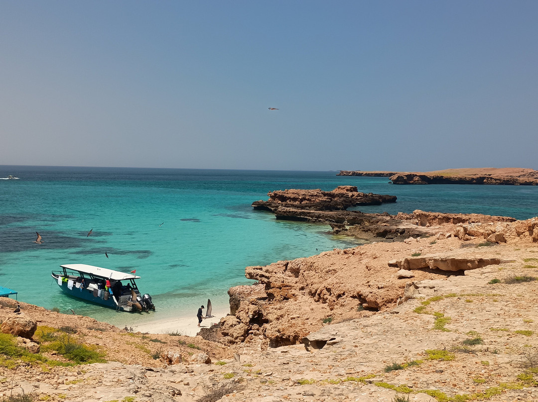 Desert Camels Adventure Tours-尼日瓦必去景点