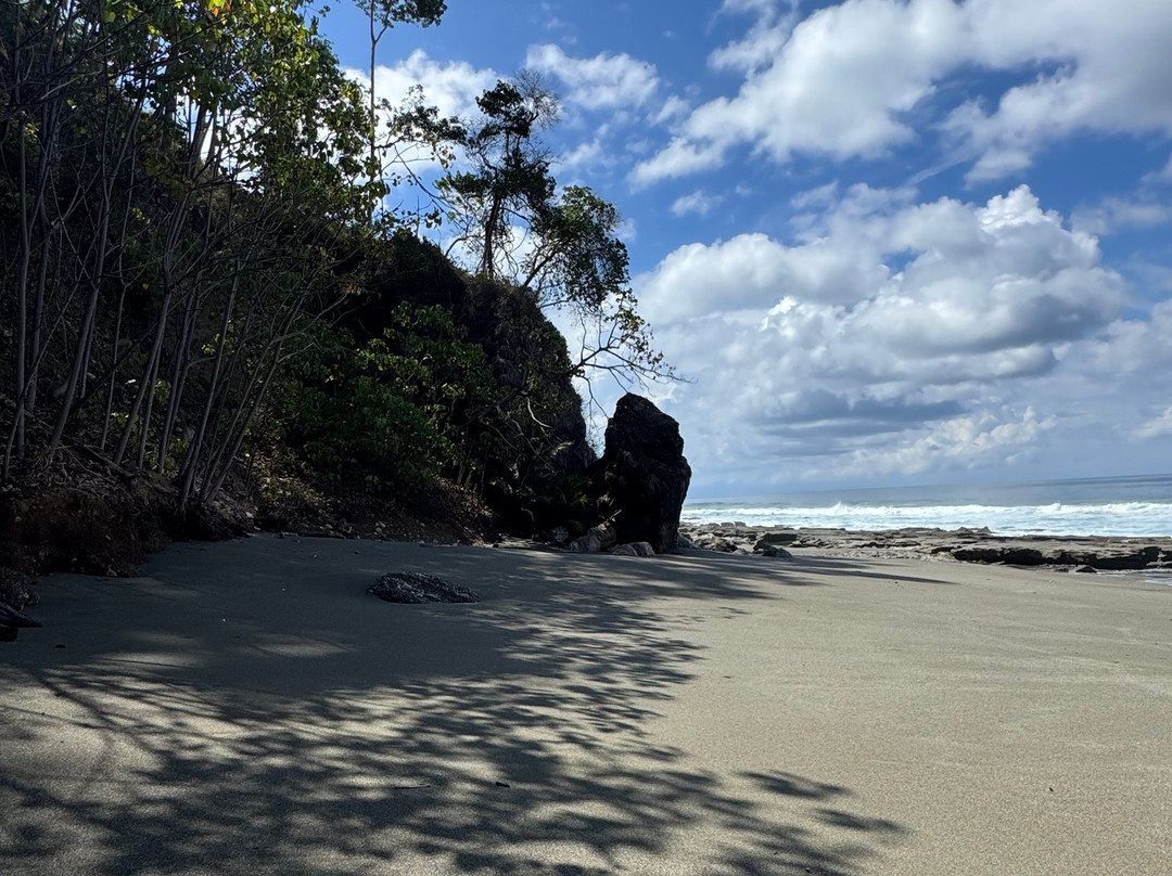 Bosque del Cabo Rain Forest Lodge主图