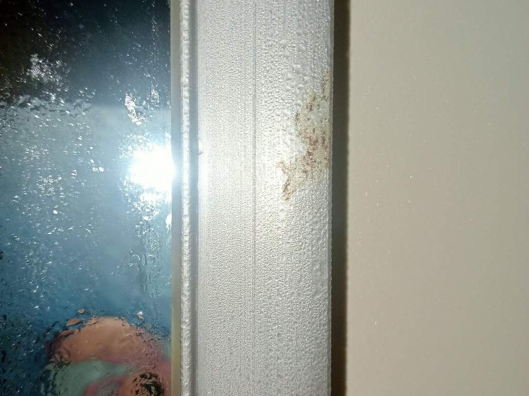 摩纳哥汽车旅馆主图
