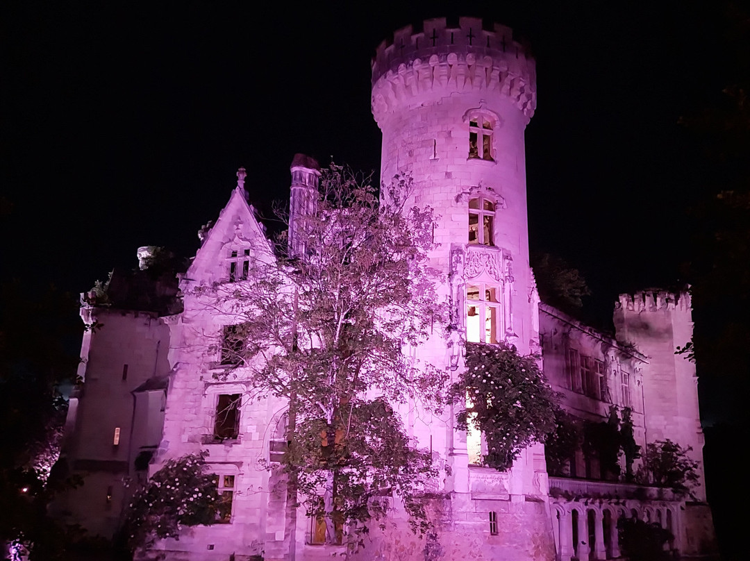 Château de la Mothe Chandeniers-Les Trois-Moutiers必去景点