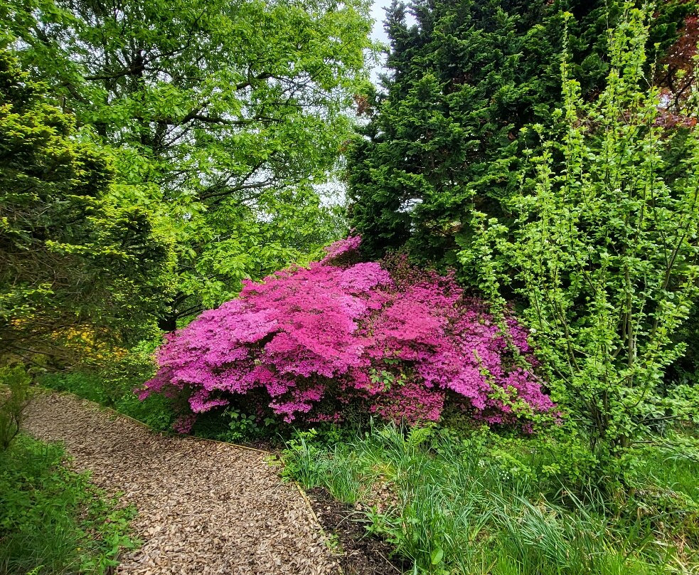 Holehird Gardens-温德米尔必去景点