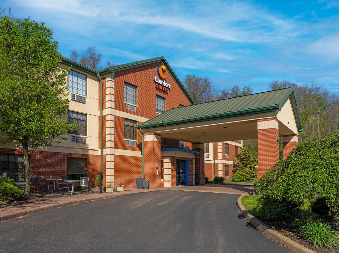 Bulger酒店住宿-Comfort Suites Pittsburgh Airport