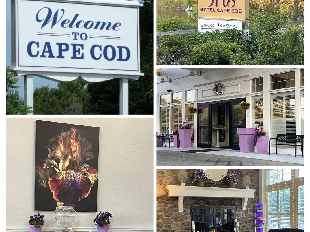 Iris Hotel Cape Cod