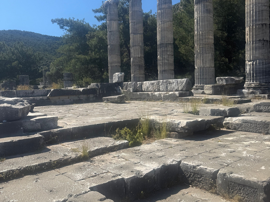 Priene Antik Kenti-Gullubahce必去景点
