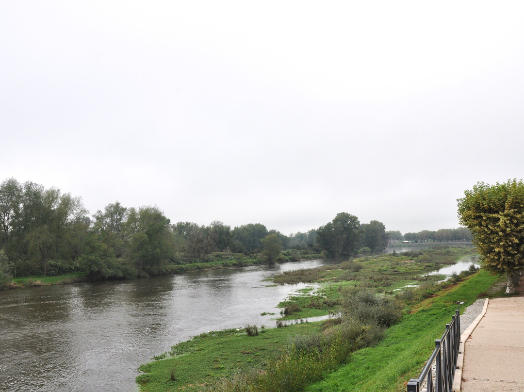 Canal bridge over the Loire-Digoin必去景点
