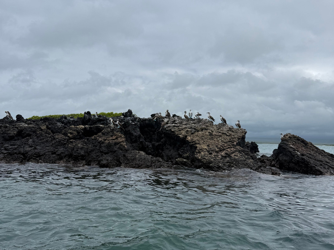 Go Galápagos Tours-Baltra必去景点