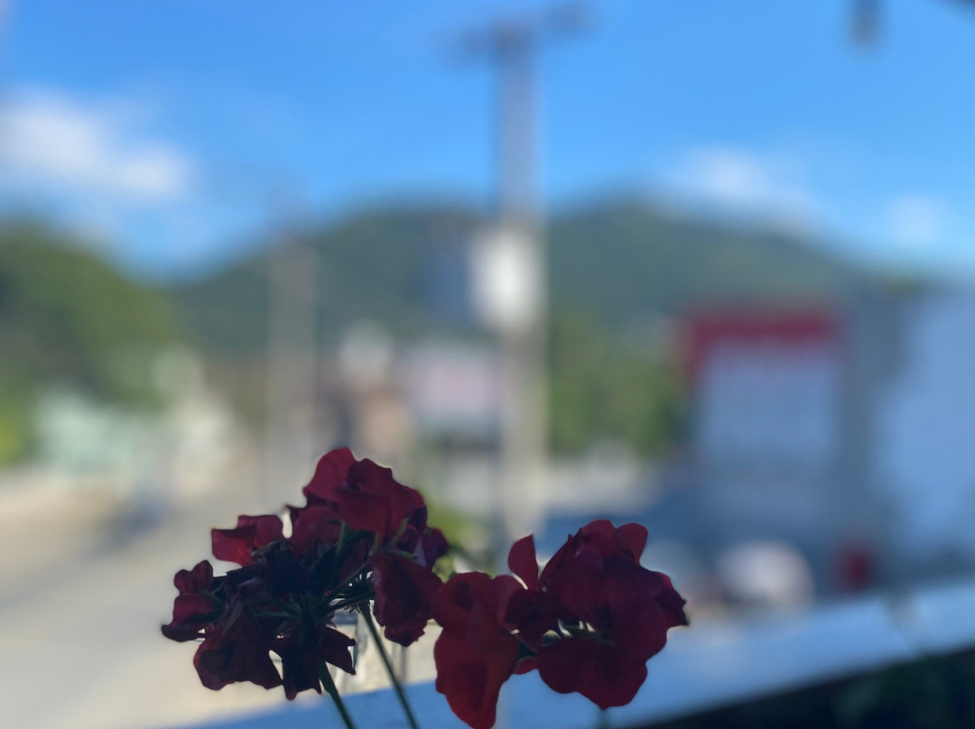 沃马海尔格旅馆主图