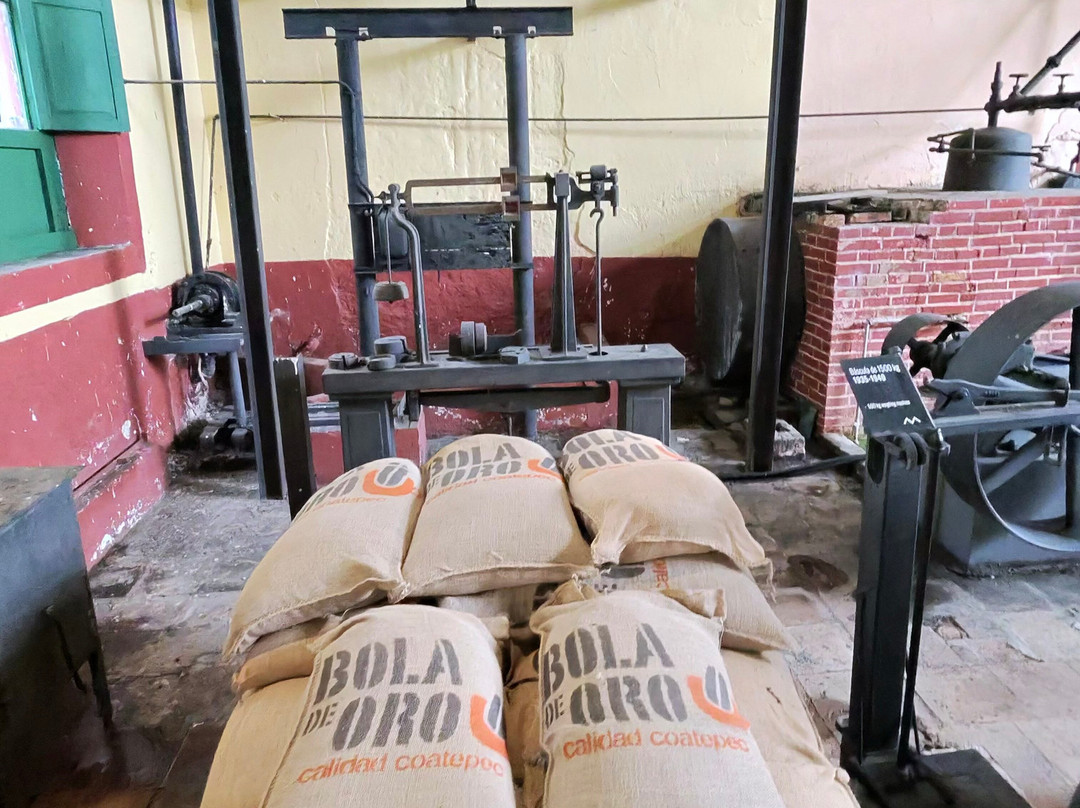 Museo Bola De Oro Finca Roma-科特佩必去景点