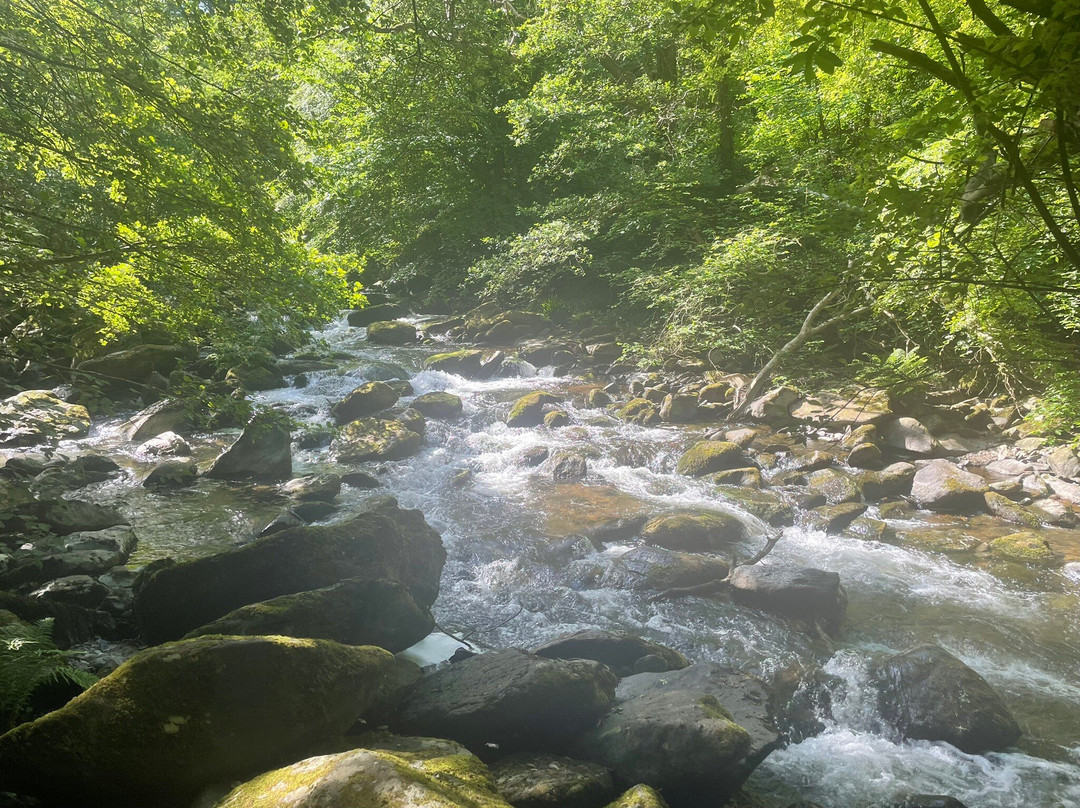 Watersmeet Trail-林茅斯必去景点