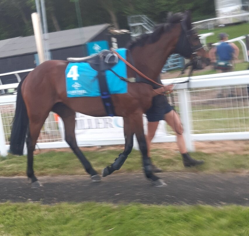 卡特梅尔阿普兰旅馆主图