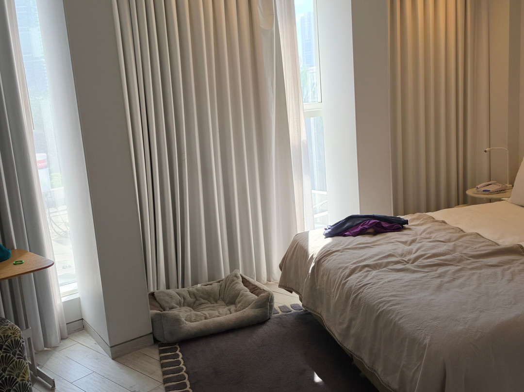 罗斯柴尔德特拉维夫65酒店 - 阿特拉斯精品酒店主图
