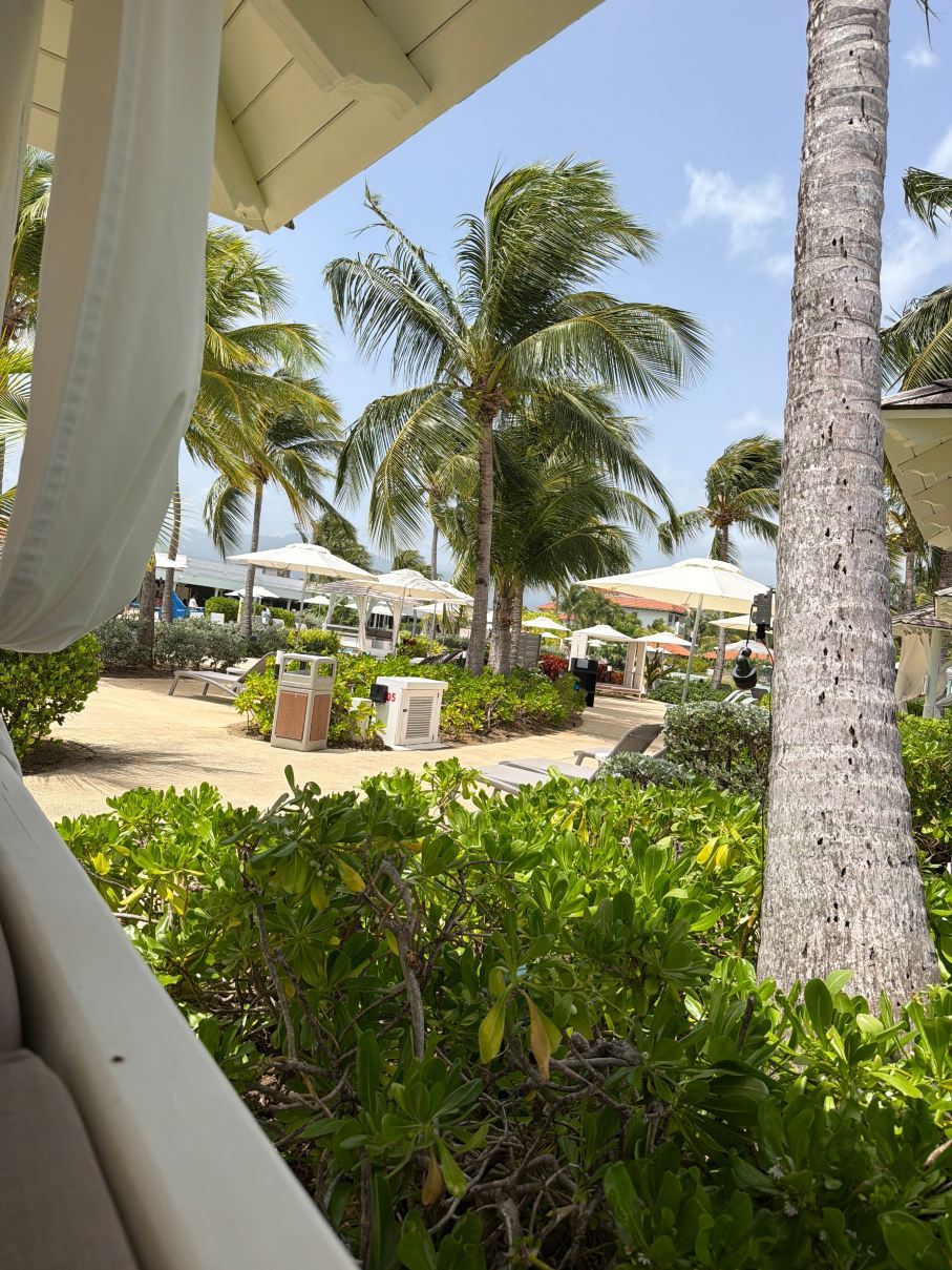 波多黎各凯悦大酒店-泳池