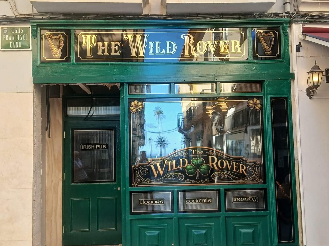 Wild Rover Irish Pub