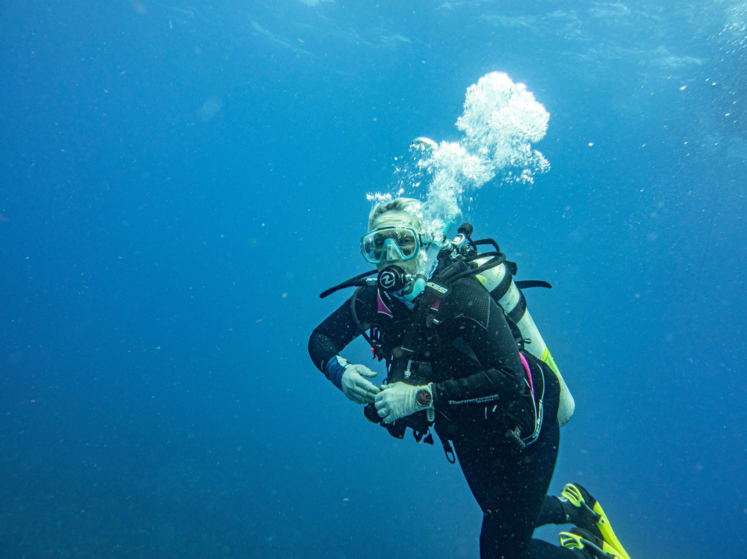 Statia Divers-Oranjestad必去景点