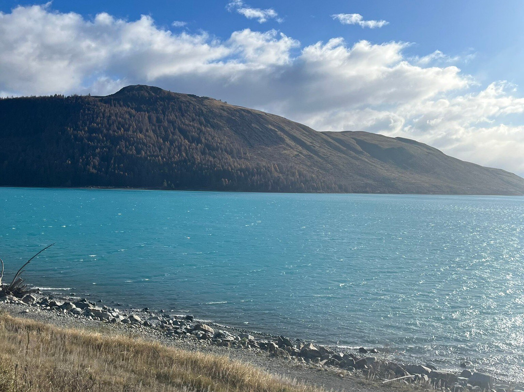 Mount John Summit Circuit Track-特卡波湖必去景点