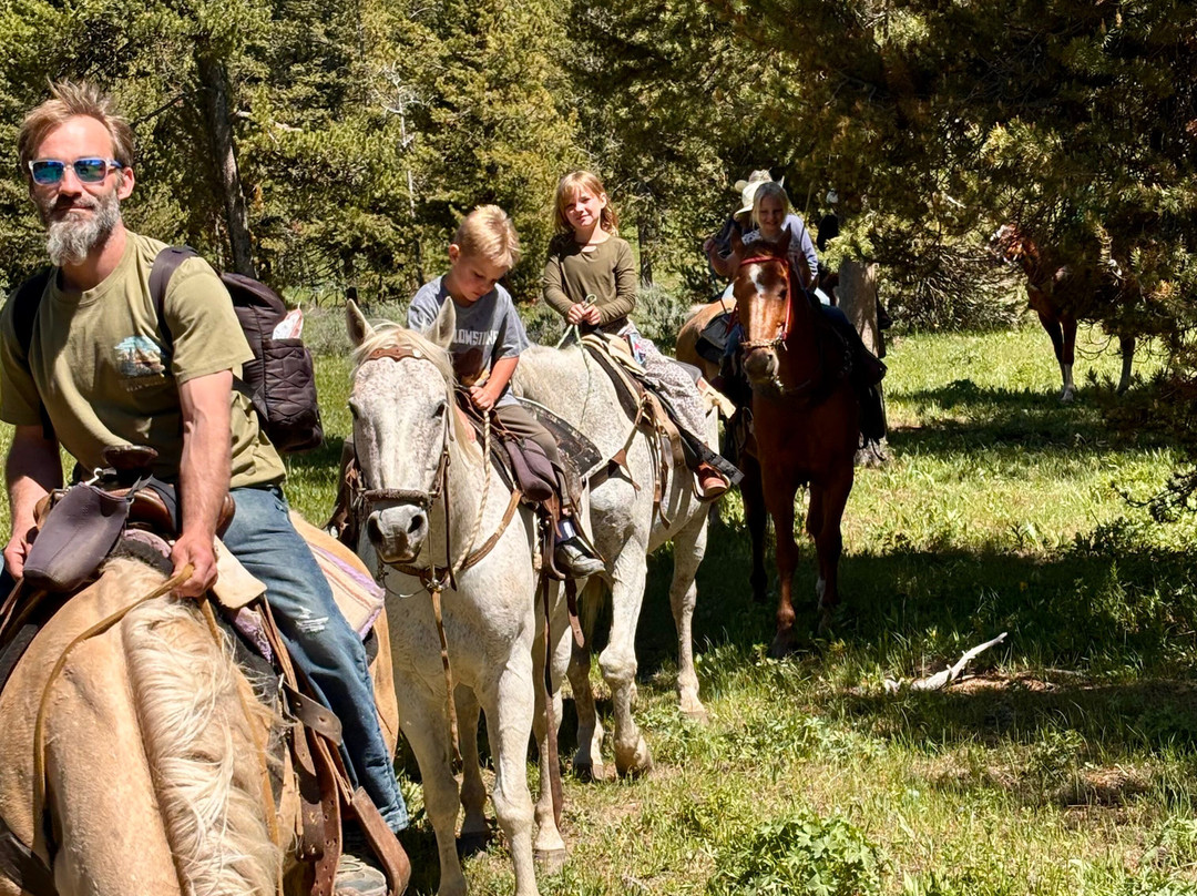 Yellowstone Horses - Eagle Ridge Ranch-艾兰帕克必去景点