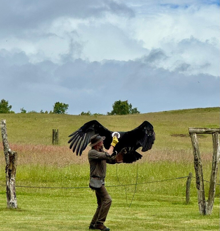 Silkeborg Rovfugleshow-Them必去景点