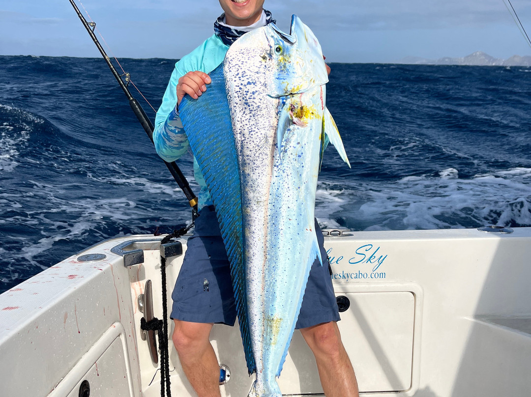 Blue Sky Cabo Fishing and Tours-卡波圣卢卡斯必去景点